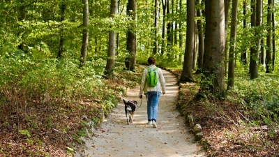 Eine Frau geht mit einem Hund durch ein Waldstück. (Foto: Nicolas Armer/dpa/Archiv)