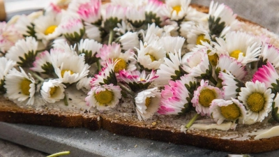 So blüht die Stulle auf: Butterbrot mit Gänseblümchen. (Foto: Christin Klose/dpa-tmn/dpa)