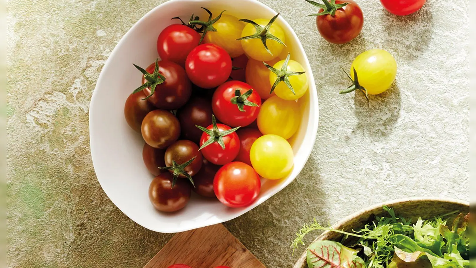 Das bayerische Gemüse des Jahres ist eine Tomatenmischung mit dem Namen Tommis Meistertrio. (Foto: Katrin Winner/Bayerischer Gärtnerei-Verband/dpa)